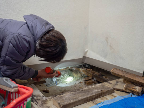 Best Real Estate Mold Inspection  in Caldwell, ID