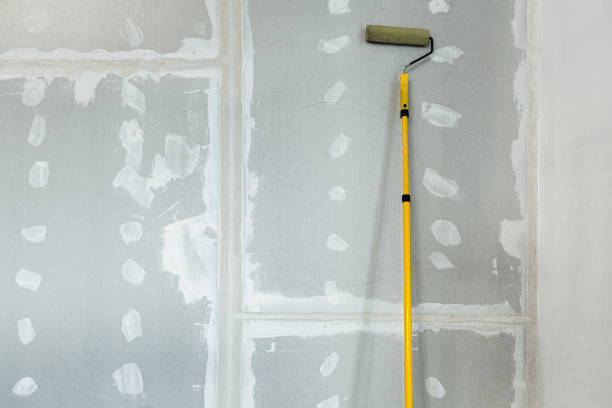 Best Comprehensive Air Testing for Mold Contaminants  in Caldwell, ID