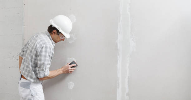 Best Forensic Mold Investigation  in Caldwell, ID