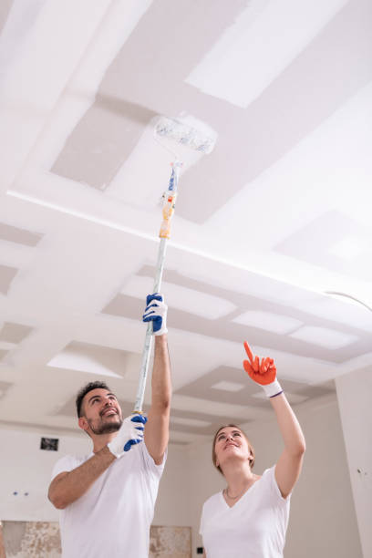 Best Attic Mold Removal  in Caldwell, ID