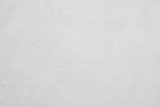 Best Basement Mold Removal  in Caldwell, ID